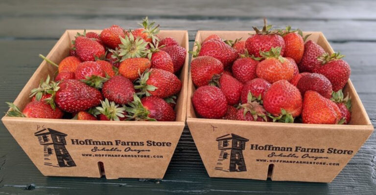 This Oregon Berry Farm Lets You To Pick Your Own Fruit And Eat As Much As You Want While You Do