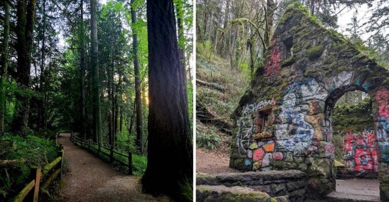 This Oregon Trail Leads To A Stone Shelter Built In The 1930s That The Forest Slowly Claimed And Made An Unlikely Portland Icon