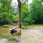 Spring Creek at Shady Nook