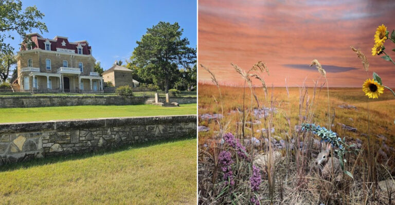 This Protected Prairie In Kansas Is A Breathtaking Look Into An Almost Lost World