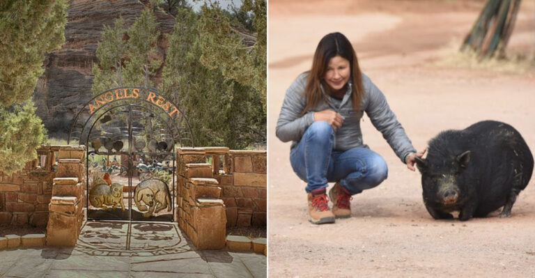 This Quiet Utah Canyon Has Become A Healing Sanctuary For Thousands Of America’s Animals