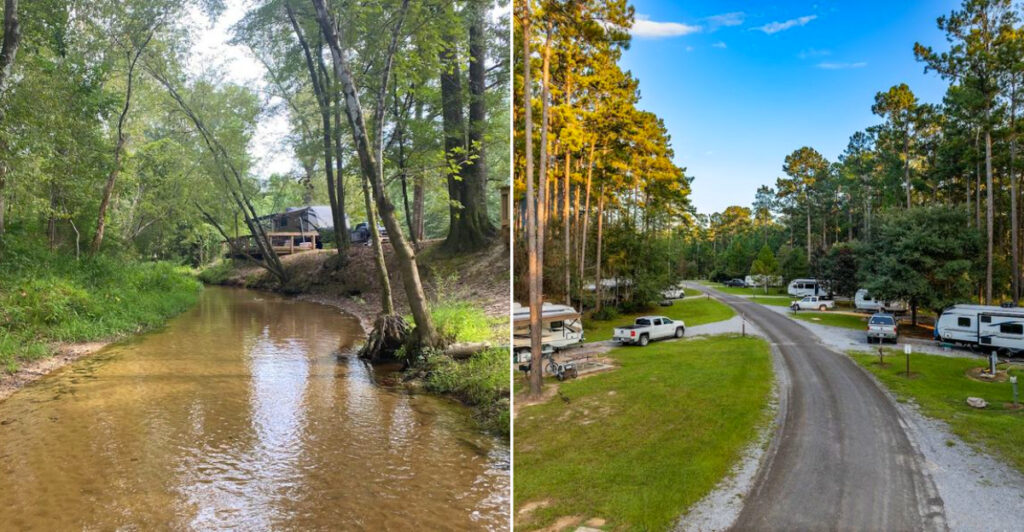 Bogue Chitto State Park