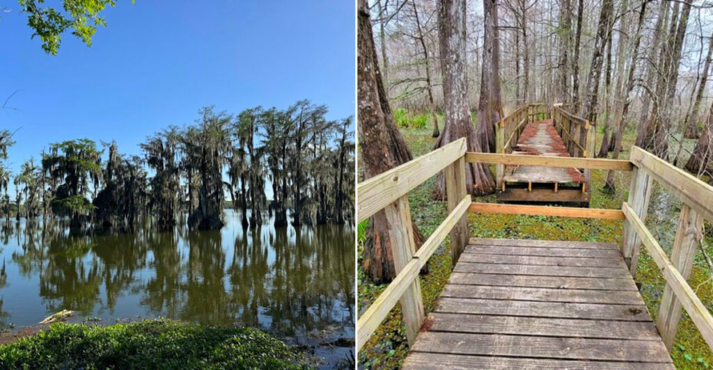 Lake Martin at Cypress Island Preserve