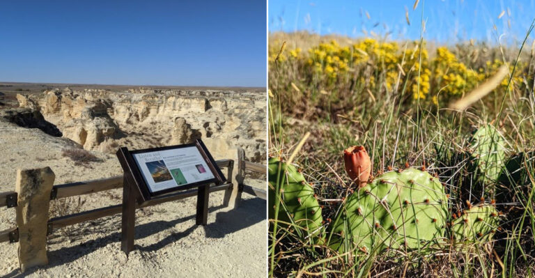 This Short And Easy Kansas Hike Delivers Scenery That Feels Straight Out Of A Painting