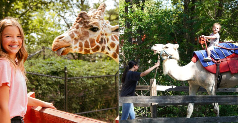 This Spacious Iowa Zoo Makes Animal Encounters Feel Wonderfully Wild