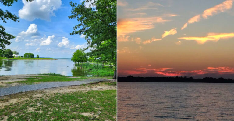 This Stunning Lakeside Getaway In Louisiana Is A Father’s Day Nature Lover’s Dream