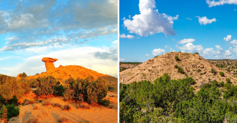 This Tucked-Away Roadside Wonder In New Mexico Feels Like It’s From Another World