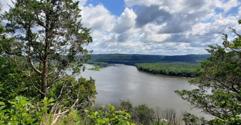 This Unexpected Iowa Forest Makes The Midwest Feel Like A Whole Different Place
