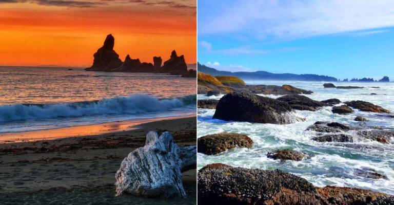 This Untouched Stretch Of Washington Coastline Still Feels Like A Secret