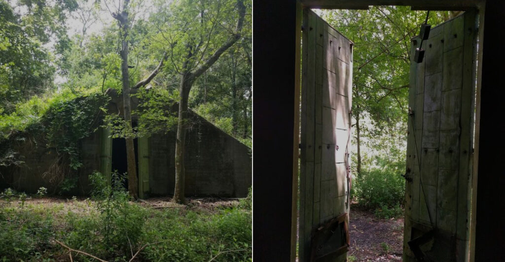 Woodlands Conservancy
