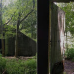 Woodlands Conservancy
