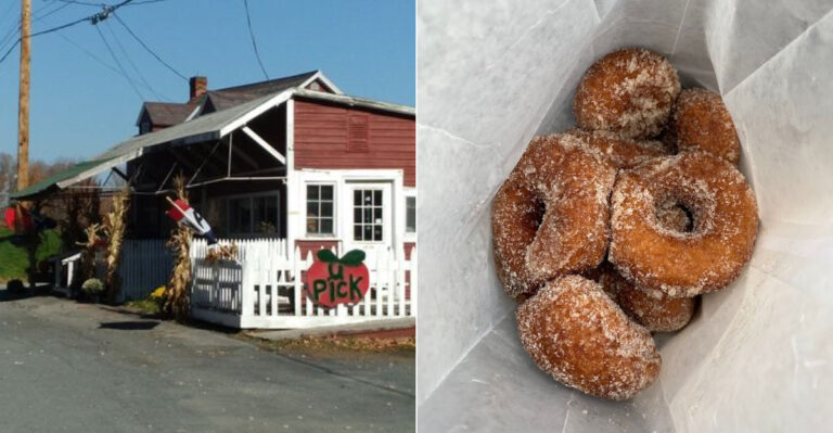 This Upstate New York Orchard Serves Apple Cider Donuts Worth The Drive