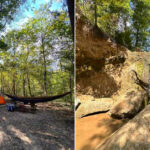 Tunica Hills Campground