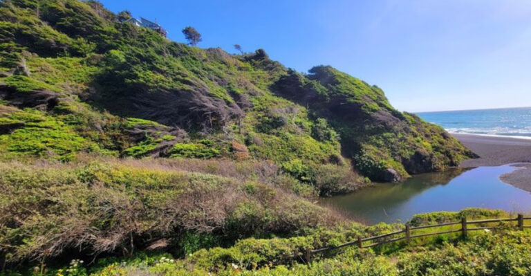 Wild Empty And Still Untouched This California Coastline Stretch Is The State Best Kept Geographical Secret And It Cannot Last Forever