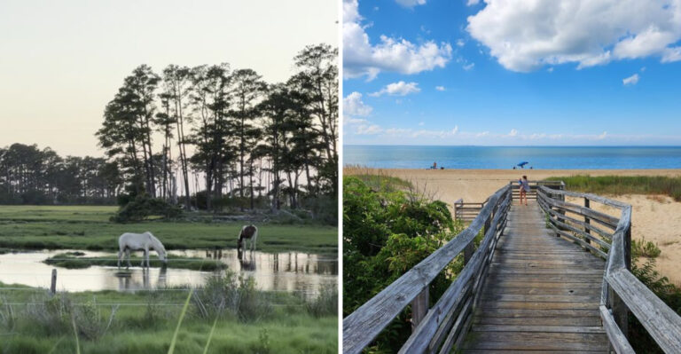 10 Affordable Virginia Summer Day Trips Packed With Serious Fun
