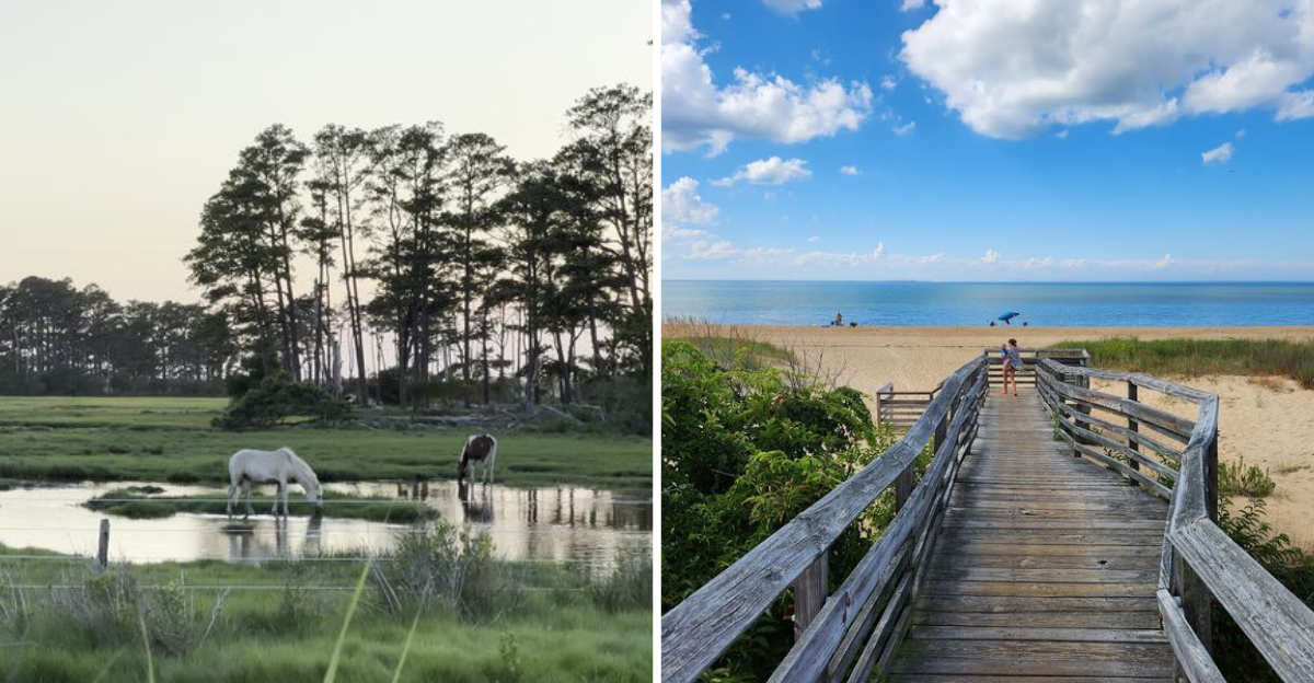 10 Affordable Virginia Summer Day Trips Packed With Serious Fun