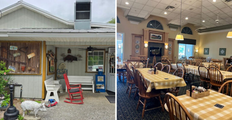 10 Florida Buffets Where The Chicken Disappears Faster Than Anything Else