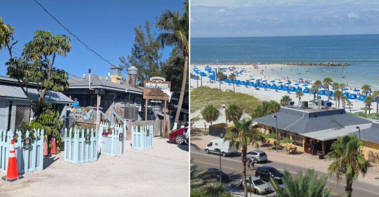 10 Florida Grouper Spots That Make Paper Bags Feel Like Fine Dining