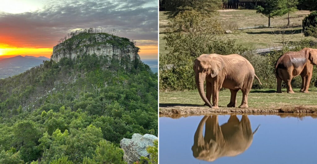 10 Interesting North Carolina Day Trips To Put In Your July Calendar