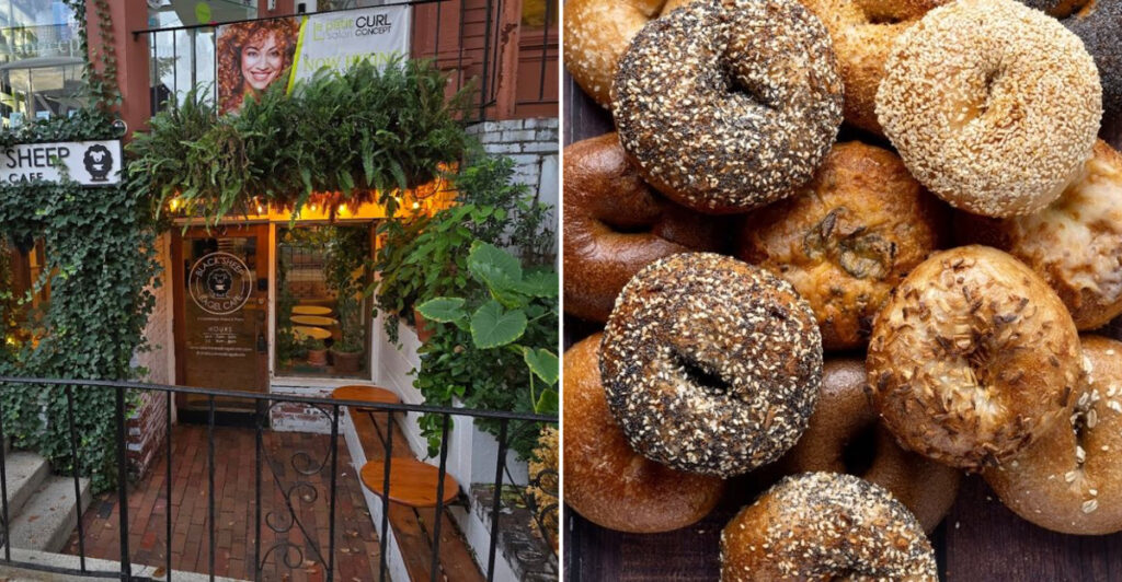 10 Massachusetts Bagel Shops Where Fresh Rounds Fly Fast
