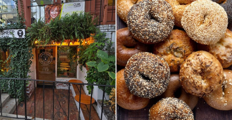 10 Massachusetts Bagel Shops Where Fresh Rounds Fly Fast