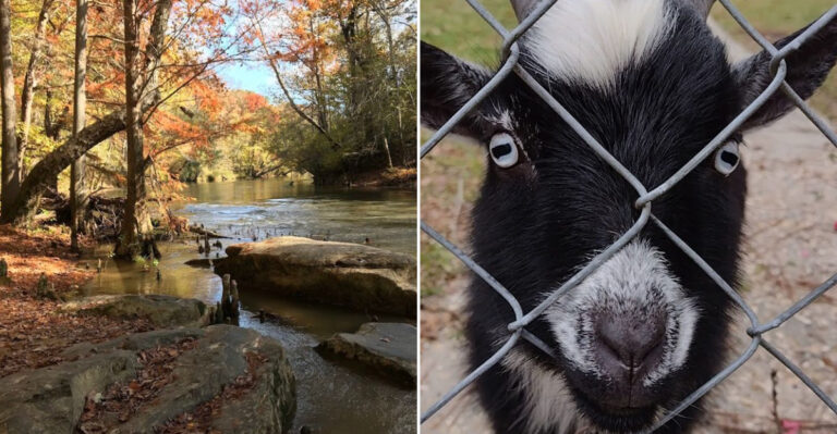 10 Mississippi Small Towns That Refresh August Weekends