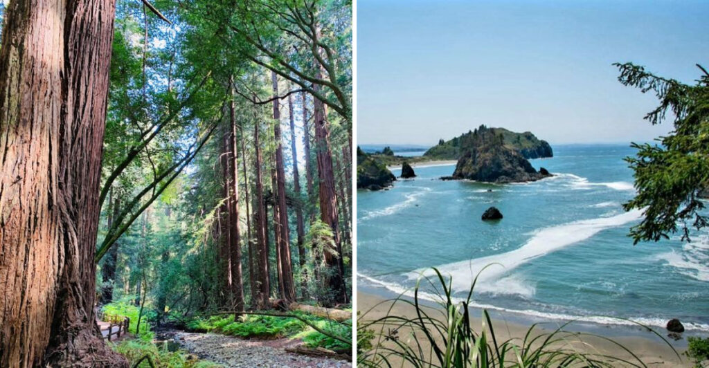 10 Scenic California Day Trips For A Breezy Summer Weekend