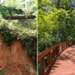 Beautiful Hiking Trails In Louisiana