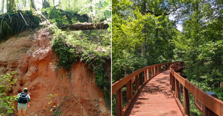 11 Beautiful Hiking Trails In Louisiana You Must Explore This Summer