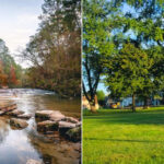 Louisiana Swimming Holes