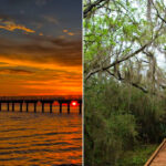 Cheap Road Trip Destinations In Louisiana