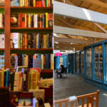 Best Louisiana Libraries And Bookstores