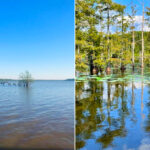 Most Peaceful Louisiana Lakes