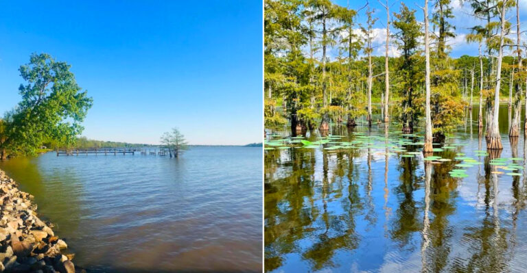 9 Louisiana Lakes So Peaceful And Quiet They Feel Like A Secret Worth Protecting