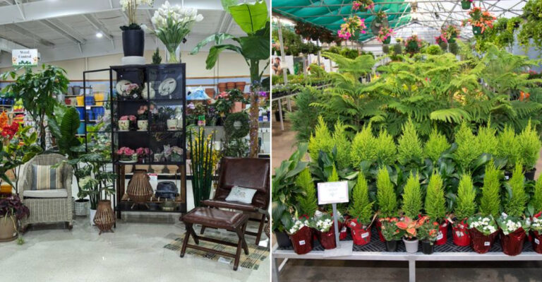 This Baton Rouge Louisiana Garden Center Does More Than Sell Plants