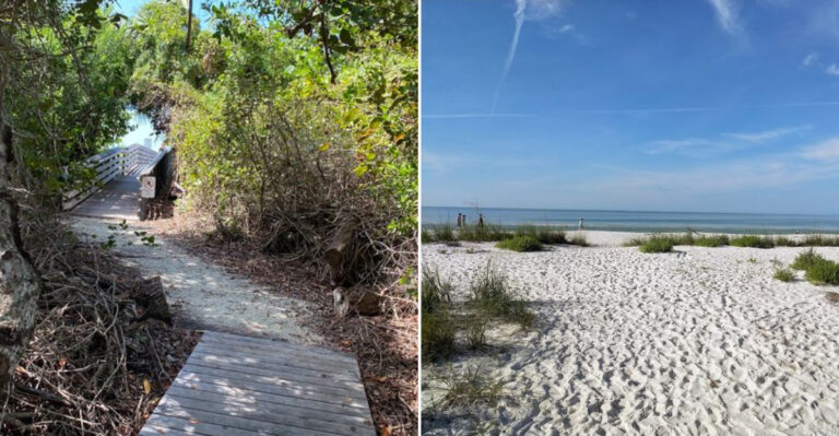 A Florida Shore That Comes With A Little Treasure Hunt For Sand Dollars