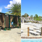 Cool Zoo Waterpark at Audubon Zoo