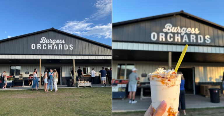 Fresh Berry Ice Cream Keeps Summer Crowds Coming Back To One Famous Utah Farm
