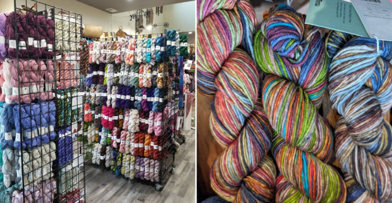 Iowa’s Coziest Yarn Shop Is Packed With Colorful Possibilities