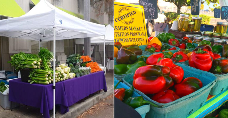 Louisiana Farmers Markets Where Homemade Food Steals The Show In 2026