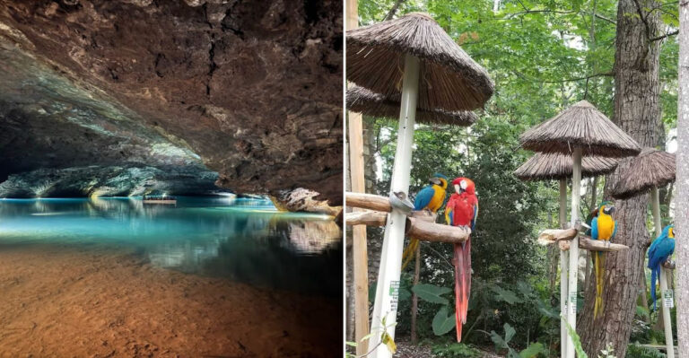 Resting At Home Is Okay, But These 12 Tennessee Day Trips Are So Much Better