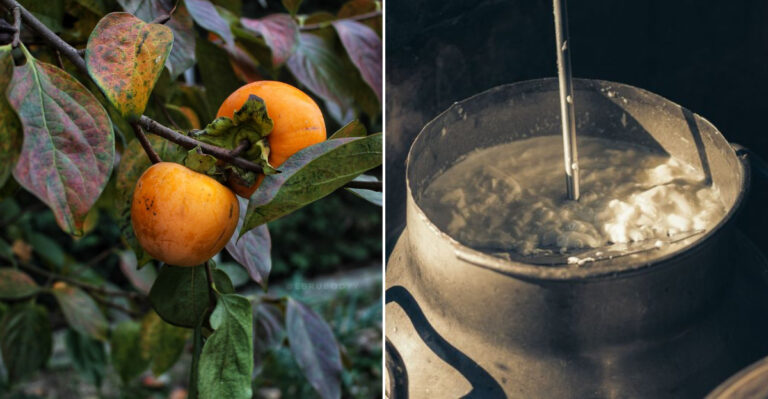 Tennessee Food Sayings That Sound Completely Ordinary To Locals But Puzzle Everyone Else