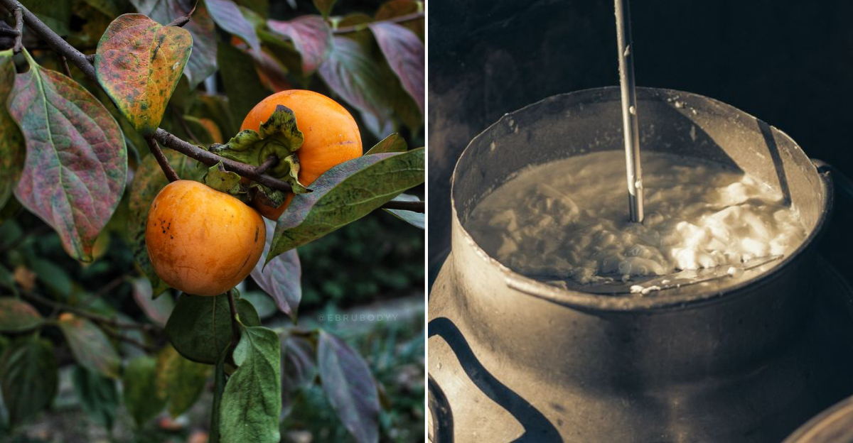 Tennessee Food Sayings That Sound Completely Ordinary To Locals But Puzzle Everyone Else