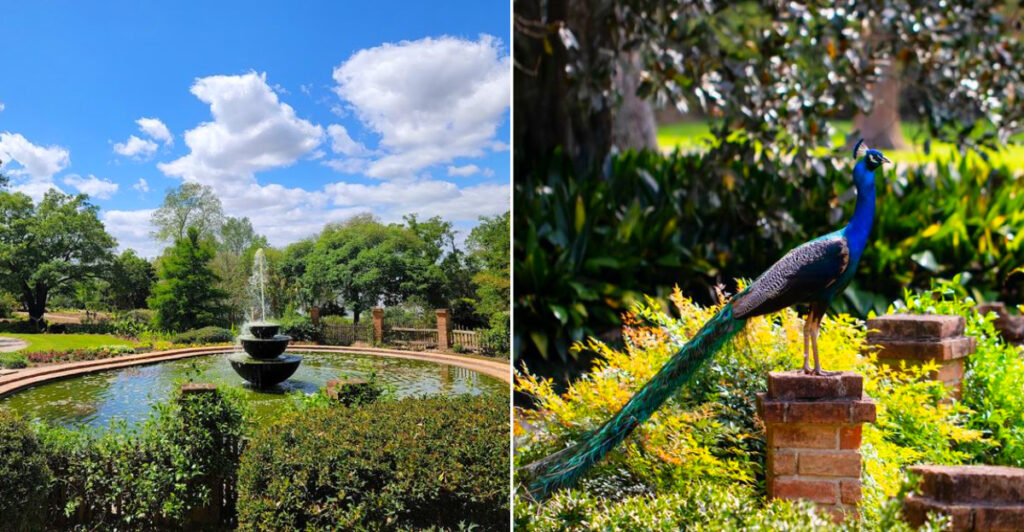 Rip Van Winkle Gardens