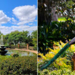 Rip Van Winkle Gardens