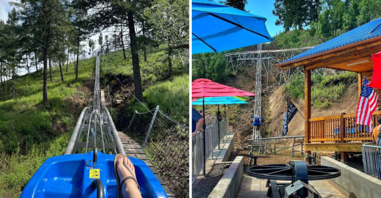 The Only Mountain Coaster In New Mexico Lets You Control The Brakes On A 5,100-Foot Ride