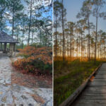 These Louisiana Trails Under 5 Miles Prove You Do Not Need Hiking Gear To Enjoy The Outdoors
