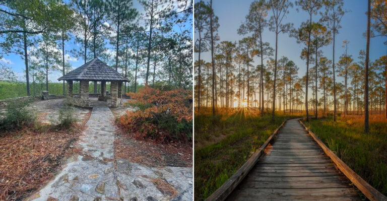 These Louisiana Trails Under 5 Miles Prove You Do Not Need Hiking Gear To Enjoy The Outdoors