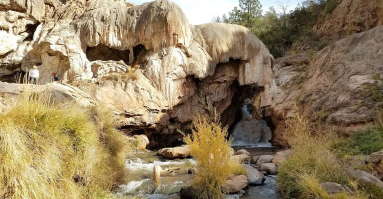This Bizarre New Mexico Roadside Wonder Has Been Growing For More Than 7,000 Years