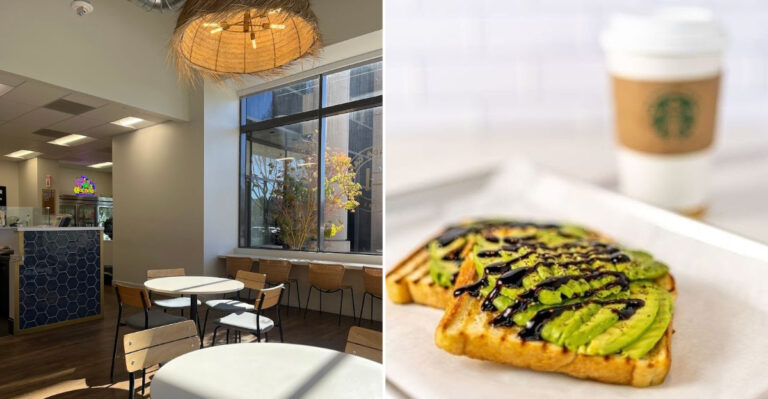 This California Cafe Proves Great Avocado Toast Doesn’t Have To Cost A Fortune